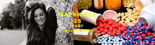 прущие грибы Алексеевка
