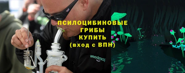 экстази Алексин