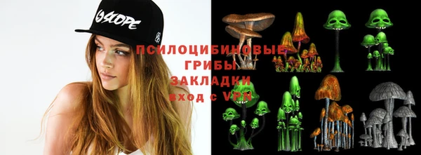 экстази Алексин