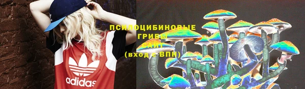 прущие грибы Алексеевка