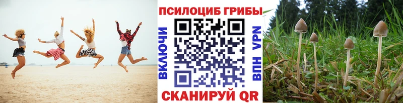Псилоцибиновые грибы мицелий  Курган 