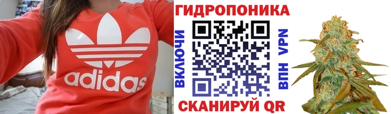 Бошки Шишки индика  Курган 